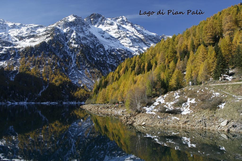 Val Di Sole * Peio