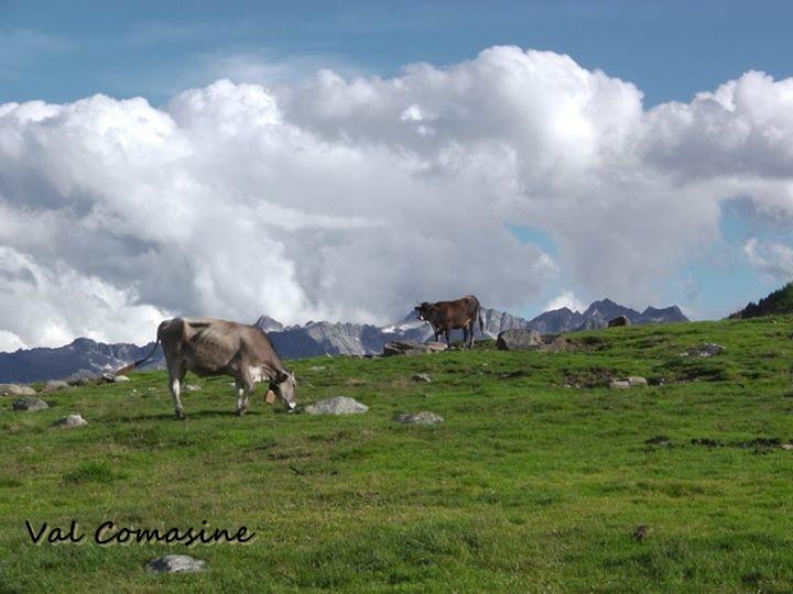 Val Di Sole Peio
