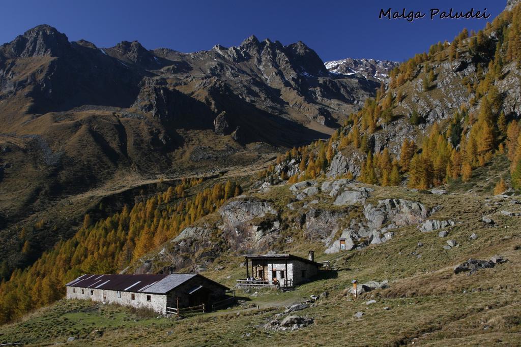 Val Di Sole *