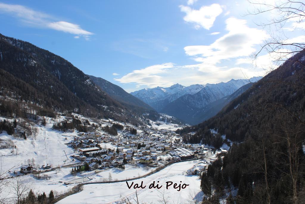 Campsite Val Di Sole Peio