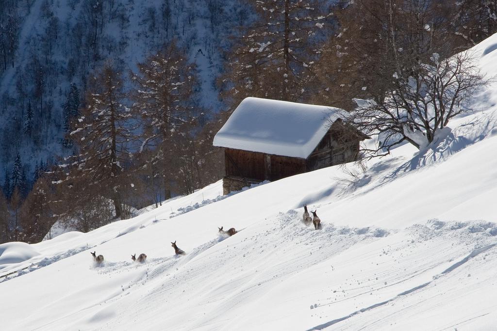 Val Di Sole